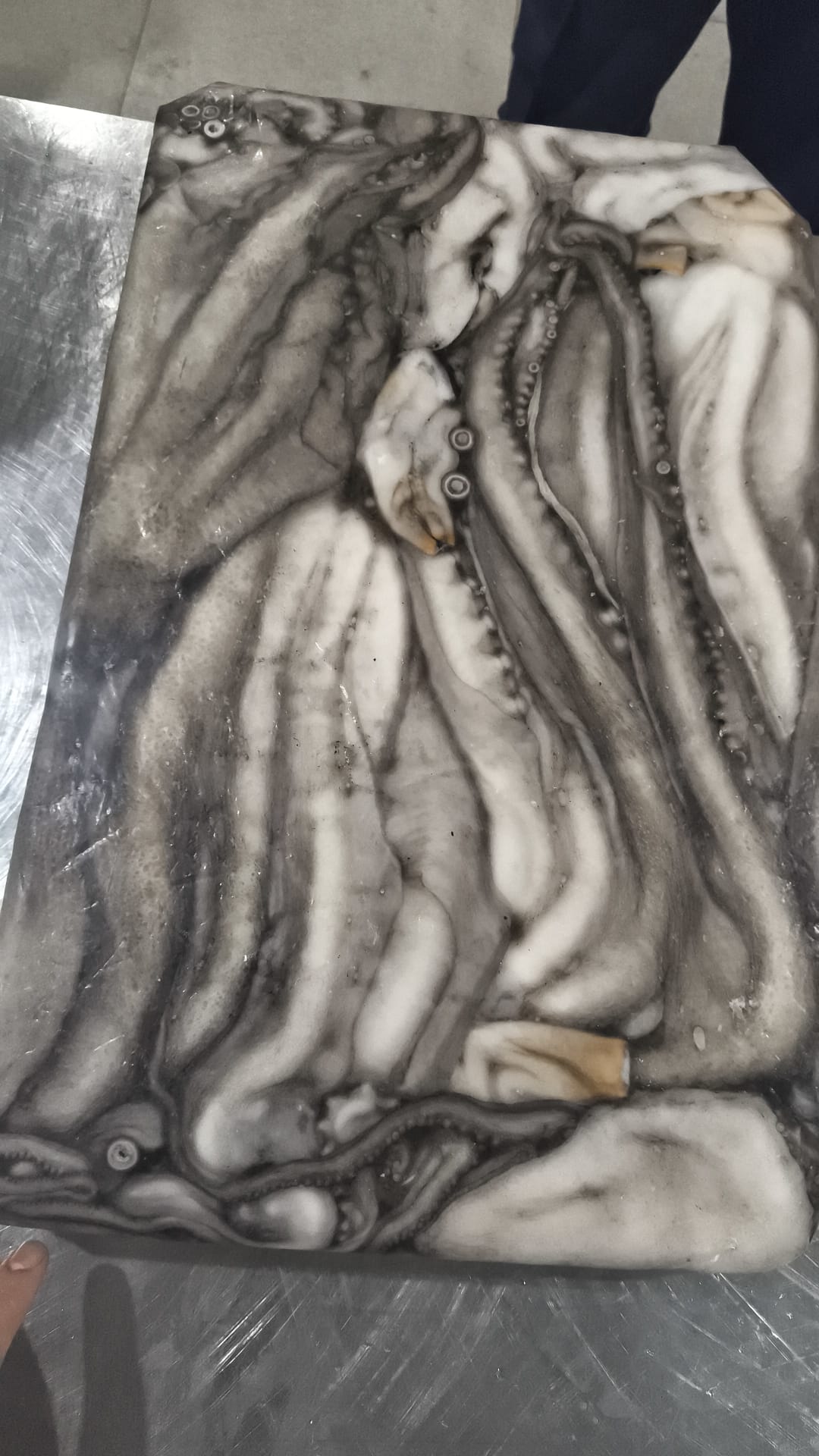 PULPO