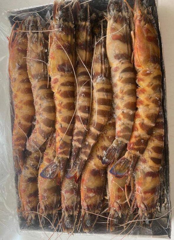 LANGOSTINO TIGRE